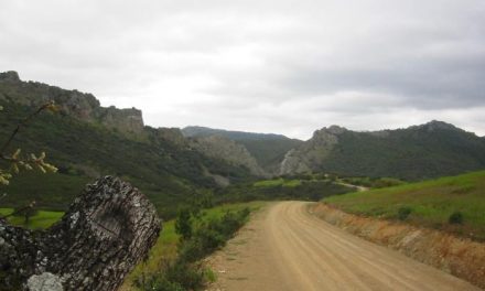 La Junta de Extremadura acometerá obras de mejora en caminos rurales de Torrejoncillo y Portaje