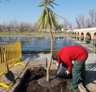 El Ayuntamiento de Moraleja convoca el proceso selectivo para la contratación de tres peones de jardinería