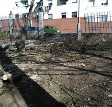 Ciudadanos Coria denuncia el «peligroso estado» en el que se encuentra el Parque de Cadenetas