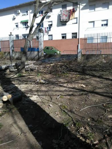 Ciudadanos Coria denuncia el «peligroso estado» en el que se encuentra el Parque de Cadenetas