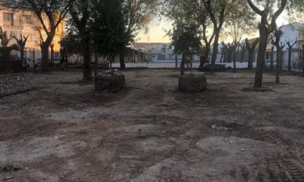 El Ayuntamiento de Moraleja continúa con las obras de mejora del Parque Félix Rodríguez de la Fuente