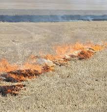 Coria anuncia la suspensión de los permisos de quema ante el incremento de la peligrosidad de incendios