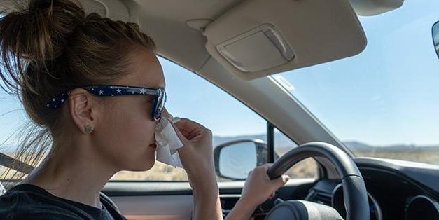 La Policía Local de Coria alerta del peligro de conducir bajo los efectos de las alergias