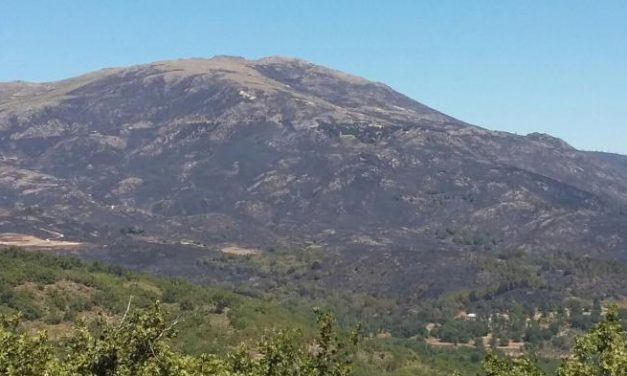 La Junta y la UEX impulsarán  el proyecto “Mosaico” contra incendios en Sierra de Gata y Hurdes