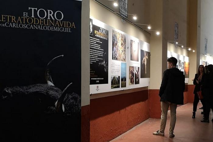 El cauriense Carlos Canalo expone sus fotografías taurinas en la Plaza de Toros de Las Ventas