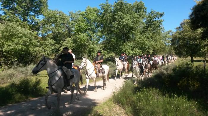 Cerca de 80 caballistas participan en la XIII Convivencia «Virgen de la Navelonga» en Cilleros