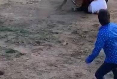 Un joven herido por asta de toro durante la celebración de las fiestas de Rincón del Obispo
