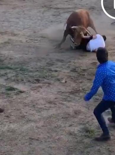 Un joven herido por asta de toro durante la celebración de las fiestas de Rincón del Obispo