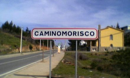 La Junta de Extremadura autoriza la resinación de más de 13.000 pinos en Caminomorisco