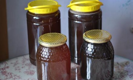 La comarca de las Hurdes quiere “garantizar la calidad” de su miel a través de la Indicación Geográfica