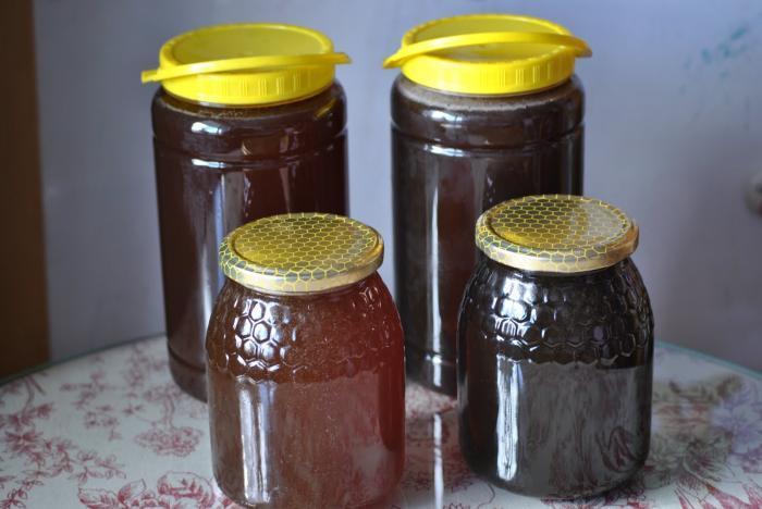 La comarca de las Hurdes quiere «garantizar la calidad» de su miel a través de la Indicación Geográfica