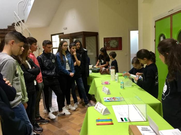 Más de una decena de jóvenes científicos participa en la III Feria de Ciencias de Moraleja