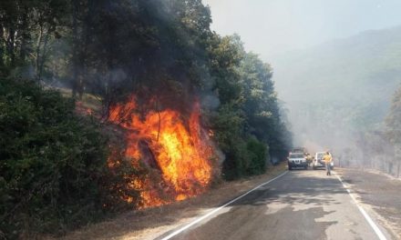 Un incendio forestal provocado afecta a la zona del paraje de la «Divina Pastora» en Eljas