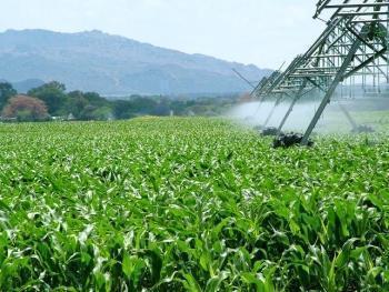 Herrero pedirá exenciones en el pago del agua de los agricultores ante la situación de sequía