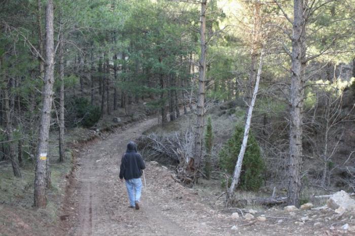 Diputación destina más de 100.000 euros para revisar los senderos de la Sierra de Gata y Valle del Alagón