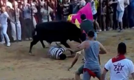 Fallece el varón de 71 años corneado durante el último toro de las fiestas de San Juan de Coria