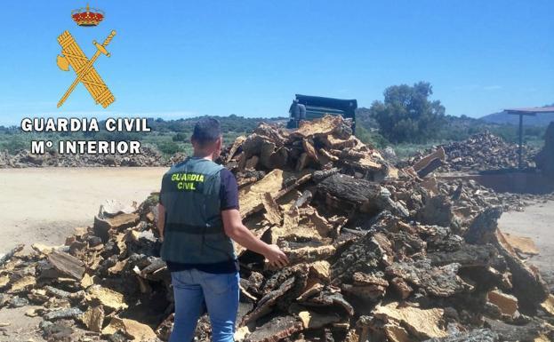 La Guardia Civil recupera un total de 1.000 kilos de chorcho robado en Sierra de Fuentes