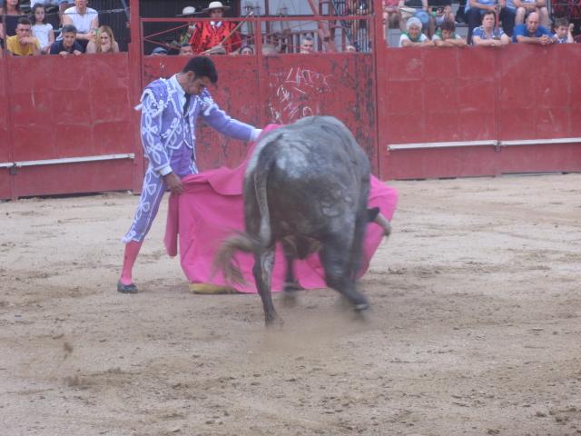 El novillero Juan Carlos Benítez consigue dos orejas y sale a hombros de la plaza de toros de Moraleja