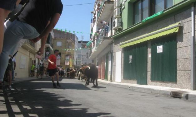 Los toros de Carmen Valiente realizan  un encierro rápido y sin incidentes de poco más de 2 minutos