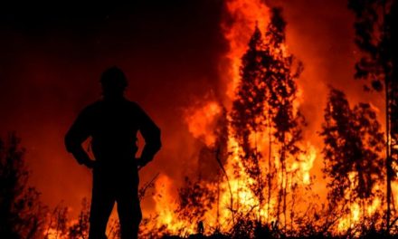 Los graves incendios de Portugal no afectan a la zona transfronteriza, que garantiza la seguridad de la población