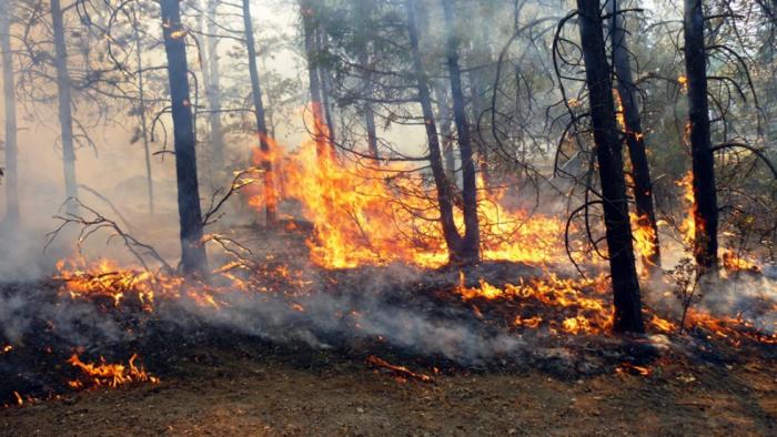 Desactivado el nivel 1 de peligrosidad del incendio forestal  que afecta al término de Valverde del Fresno