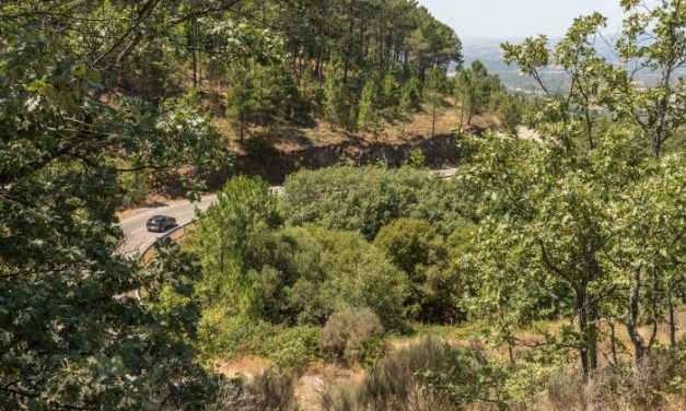 La Diputación apuesta por un recorrido por la Sierra de Gata para mostrar su riqueza paisajística