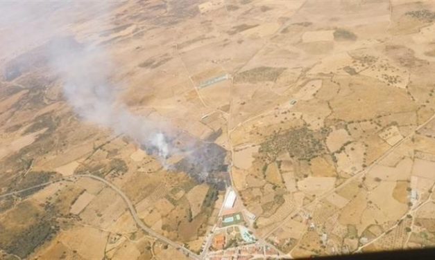 El Plan Infoex da por controlado el incendio en el Cerro del Mocho situado en Calzadilla