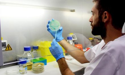 Sanidad destaca 204 casos de listeriosis por carne mechada contaminada, dos de ellos en Extremadura