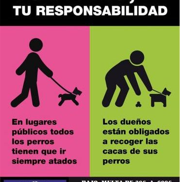 El Ayuntamiento de Moraleja realiza una campaña de concienciación sobre la recogida de excrementos