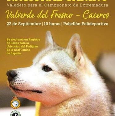 Valverde del Fresno acogerá el próximo día 22 un Concurso Nacional Canino