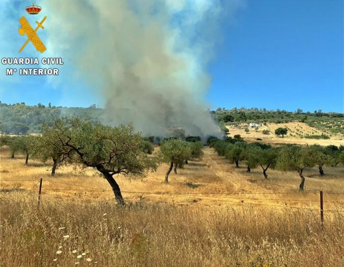 La Guardia Civil detiene a 38 personas por su implicación en incendios forestales en Extremadura
