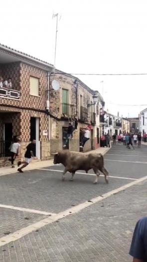 Un varón de Moraleja resulta herido con pronóstico grave durante la lidia del toro en Calzadilla