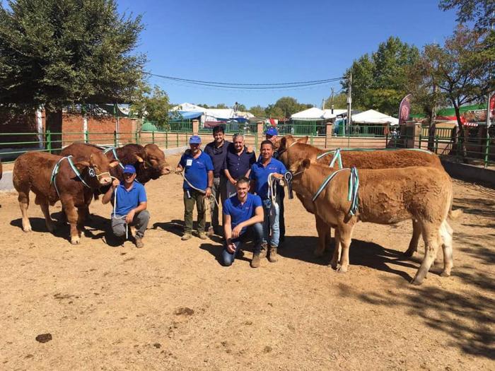 La ganadería de los hermanos Heras consigue la victoria en el VI Concurso de Animales de Zafra