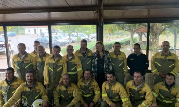 El Seprona investiga 87 incendios en Extremadura y pone a disposición judicial a más de 40 personas