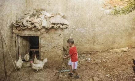 Una vecina de Pozuelo de Zarzón gana el premio fotográfico “Señas de identidad”