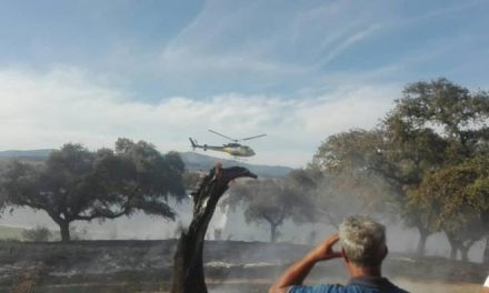 La campaña de peligro alto en Extremadura acaba con 3.485 hectáreas afectadas y sin ningún gran incendio