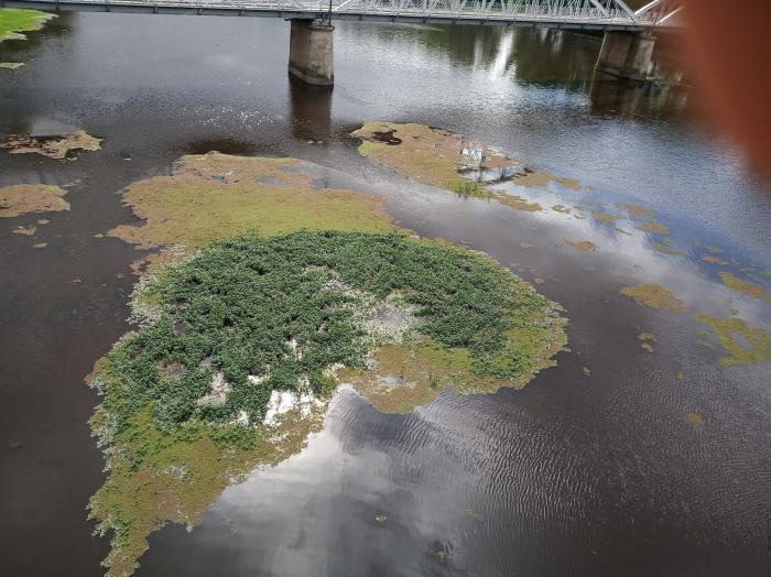 El alcalde de Coria denuncia el abandono del río Alagón por parte de la Junta y la Confederación Hidrógrafica