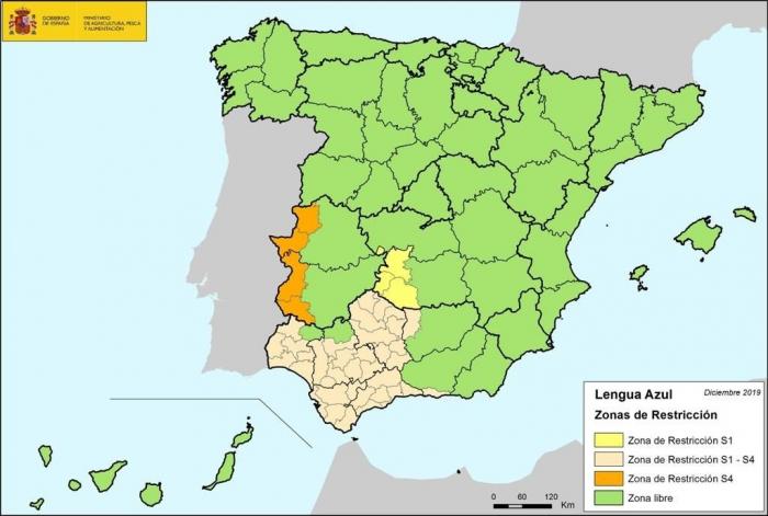 Las comarcas veterinarias de Coria y Valencia de Alcántara deberán vacunar a sus animales de la lengua azul