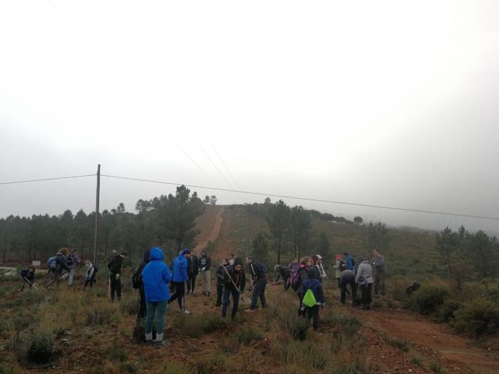 Más de 70 voluntarios de Adenex plantan árboles autóctonos para repoblar Sierra de Gata