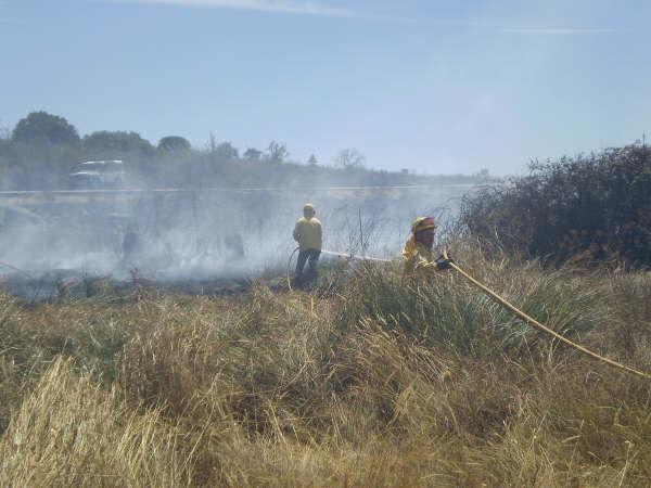 Un incendio provocado en la EX-108, entre Moraleja y Zarza, calcina plantones de alcornoques y matorral