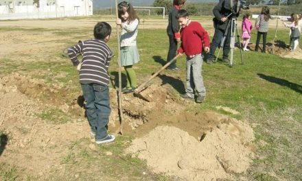 ARBA organiza diferentes talleres en Villanueva de la Sierra para celebrar la Fiesta del Árbol