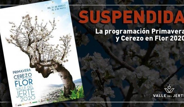 Suspendidos los eventos incluidos en el programa oficial del Cerezo en Flor del Valle del Jerte