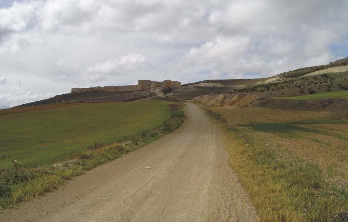 La Consejería de Agricultura y Desarrollo Rural finaliza las obras de mejora en dos caminos de Cañamero