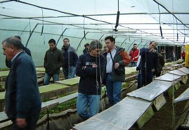 La Asociación para el Desarrollo del Valle del Alagón pondrá en marcha un curso de cultivo de caracoles