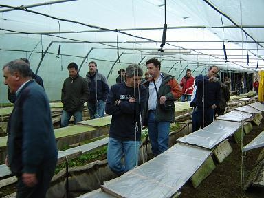 La Asociación para el Desarrollo del Valle del Alagón pondrá en marcha un curso de cultivo de caracoles