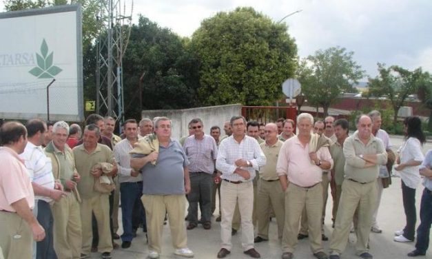Veintidós empleados fijos discontinuos de Cetarsa en Coria protestan por el recorte laboral en la actual campaña