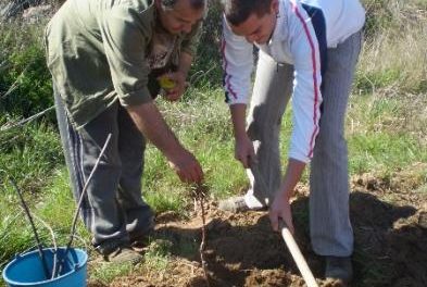 Ecologistas Granadilla y los escolares de Trasierra reforestan con especies autóctonas las sierras