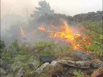 La restauración de las áreas degradadas por los incendios en la comarca cacereña de Las Hurdes costará 3,8 millones de euros
