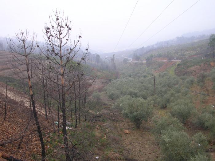 La Junta aporta 3,8 millones de euros para restaurar áreas degradadas afectadas por el fuego en Las Hurdes