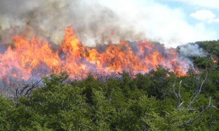 Aviones lusos apagarán fuegos forestales adentrándose 15 kilómetros tras un acuerdo con España